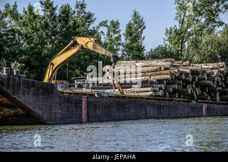 River Tisza (TISA), Serbie - Grues avec jaws chargement des grumes sur une barge fluviale Banque D'Images