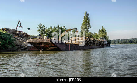 River Tisza (TISA), Serbie - Grues avec jaws chargement des grumes sur une barge fluviale Banque D'Images