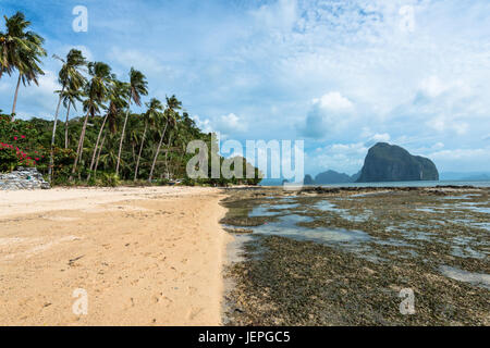 EL NIDO, Palawan, Philippines - Le 29 mars 2017 : cocotiers, sable et rochers de Las Cabanas Beach. Banque D'Images