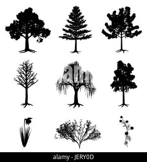 Arbre, arbres, fleur, plante, racine, bush, NARCISSE, JONQUILLE, feuille, seul, Illustration de Vecteur