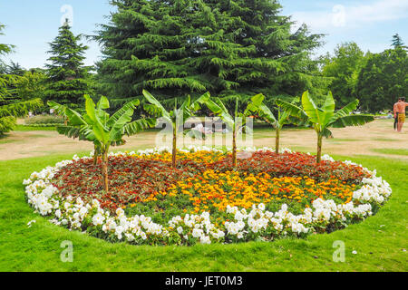 Grand et beau parterre panaché dans le parc de Greenwich, Londres, avec des personnes non identifiées de soleil dans l'arrière-plan sur une journée ensoleillée. Banque D'Images