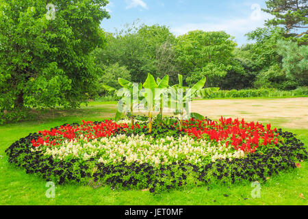 Grand et beau parterre panaché dans le parc de Greenwich, London le long d'une journée d'été. Banque D'Images