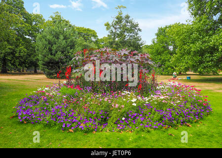 Grand et beau parterre panaché dans le parc de Greenwich, Londres avec un wooman de soleil dans l'arrière-plan sur une journée ensoleillée. Banque D'Images