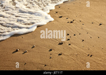 Gros plan de vagues sur la plage de sable. Banque D'Images