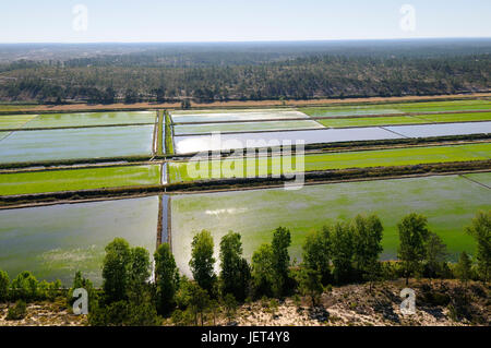 Vue aérienne de rizières. Comporta, Alentejo, Portugal Banque D'Images