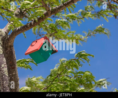 Maison d'oiseau coloré accroché dans un arbre à Sunset Beach Hotel et restaurant, Shelter Island, NY Banque D'Images