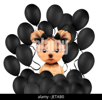 Funny animal entouré par ballloons Banque D'Images