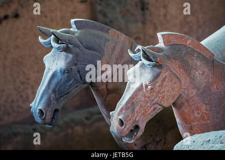 Les chevaux de la célèbre Armée de terre cuite, une partie du Mausolée du premier empereur Qin et site du patrimoine mondial de l'UNESCO situé à Xian Chine Banque D'Images