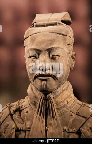 L'Armée de terre cuite pièce exposée au Musée d'histoire de Shaanxi. Xian. Chine Banque D'Images