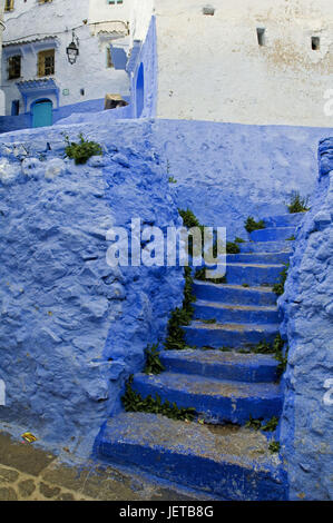 Le Maroc, Chefchaouen, Lane, façade de maison, bleu, escaliers, d'Afrique, maison, édifice, maison mur défensif, muraille, porte, style architectural, tradition, architecture, façade, déserte, point d'intérêt, comme suit, les plantes, Banque D'Images