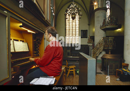 L'Allemagne, en Rhénanie du Nord-Westphalie, Herford, nouveau marché, église, Saint Johannis, orgue, organiste, bois Teutoburger, vieille ville, zone d'intérêt, la foi, la Johanniskirche, sacrée, de la structure de la construction, protestante, historiquement, l'architecture, l'église, l'hôtel de la musique, jouer, la musique d'église, personne, homme, musicien, musicien d'église, à l'intérieur, Banque D'Images