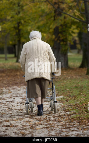 Les cadres supérieurs, parc,3903, rendez-vous, vue arrière, modèle sorti, bois, forêt, femme, vieux, les gens, les cheveux blancs, seuls, quelques voitures, la marche aide, aide, vêtements, veste, beige, rock, saison, automne, Banque D'Images