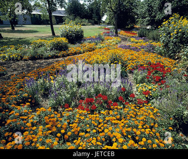 Allemagne, Mülheim dans la dysenterie, la dysenterie, Rhénanie du Nord-Westphalie, Mülheim-Styrum, château Styrum, parc du château, parterres, Banque D'Images