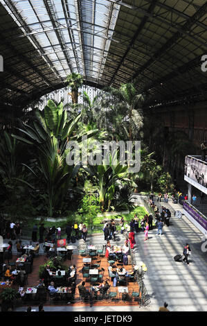 Espagne, Madrid, gare d'Atocha, le palm garden, Banque D'Images