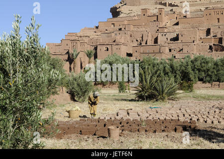 Village de montagne, paysage du film, 'Ait Benhaddou', Sahara, Afrique, Maroc, Banque D'Images