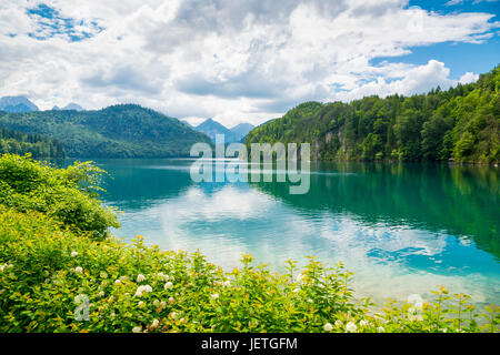 L'Alpsee est un lac en Bavière, Allemagne. Il est situé à proximité des châteaux de Neuschwanstein et d Hoshenschwangau. Banque D'Images