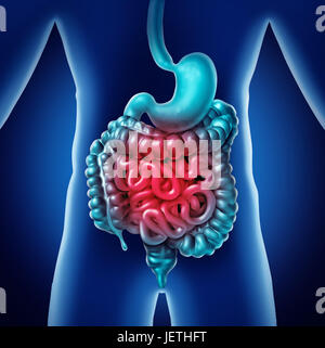 La douleur de l'intestin et de la digestion gastro-intestinale inflammation digestion comme problème de l'inconfort ou de la constipation et l'infection comme un3D'illustration. Banque D'Images