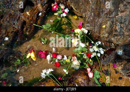 Fleurs lancées à la mer durant la célébration de Yemanya, la déesse de la mer, à Salvador, Bahia, Brésil, le 2 février 2012. Yemanya, originaire de l'ancienne mythologie Yoruba, est l'un des plus populaires "Orixas, les divinités de l'Afro-Brazili dans le monde d'utilisation | Banque D'Images