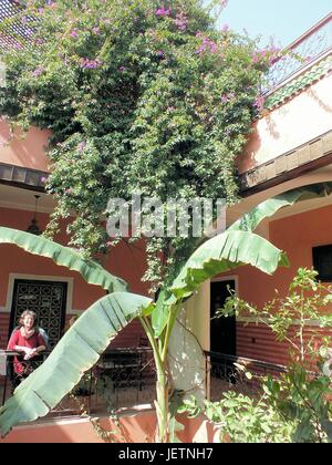 Riad Bakara - rénové en style classique dans une allée tranquille de la vieille ville. Les chambres sont situées autour de la cour intérieure avec des plantes exotiques Février 2017 Marrakech - Maroc | dans le monde entier Banque D'Images