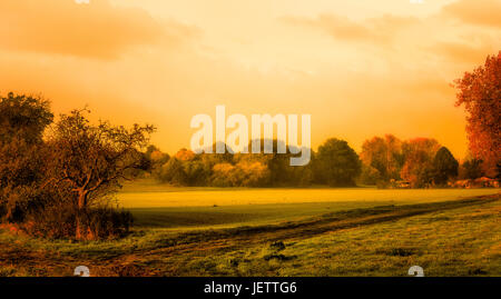 Des tons chaleureux de style vintage de couleur de l'eau automne idyllique le lever du soleil sur un paysage rural Terrain avec arbres, nuages,impression,Peinture,green Banque D'Images