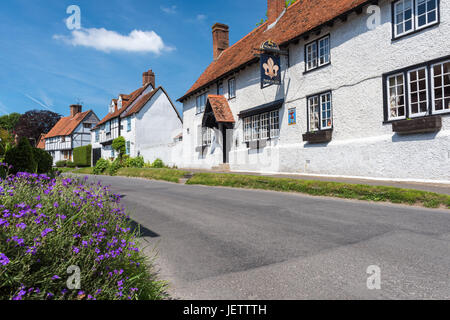 Pub et cottages, East East Hagbourne, Oxfordshire, UK Banque D'Images