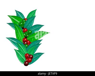 Du café, du grain de café, isolés, vecteur, cafe, café, grain de café, boisson, Illustration de Vecteur