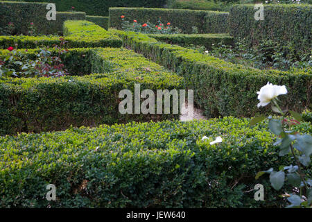 Labyrinthe d'une couverture verte dans un parc anglais Banque D'Images