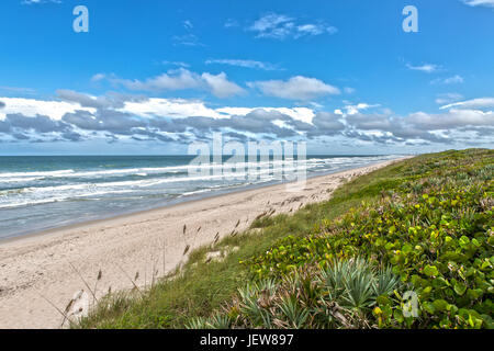 Plage à Canaveral National Seashore à Cap Canaveral en Floride Banque D'Images