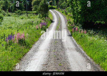 Belle route de gravier sinueuses à la campagne suédoise Banque D'Images