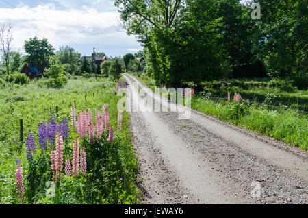 Belle route de campagne d'un village à la campagne suédoise Banque D'Images