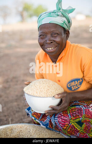 Une coopérative de femmes et les processus d parboils le riz comme une activité génératrice de revenus dans la région de l'Upper-East, au Ghana. Banque D'Images