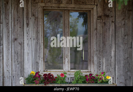 Fenêtre d'une maison en bois avec des fleurs décoratives sur la fenêtre. Banque D'Images