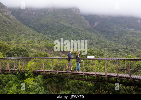 Jardins botaniques de Kirstenbosch, Cape Town, Afrique du Sud Banque D'Images