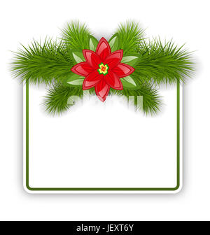 Carte postale de Noël Illustration avec des brindilles de sapin et fleurs poinsettia - Banque D'Images