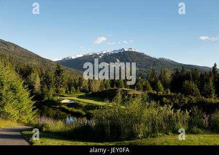 8 trous sur le parcours de golf Château Whistler. Sifflet C.-B., Canada. Banque D'Images