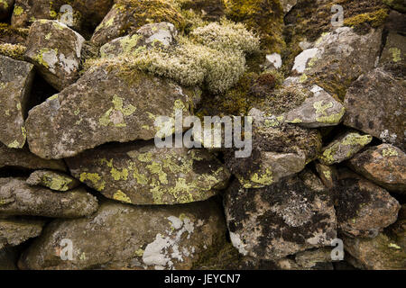 Keswick, Cumbria, Royaume-Uni, cercle de pierres de Castlerigg, couverts de lichens mur en pierre sèche bordant country lane Banque D'Images