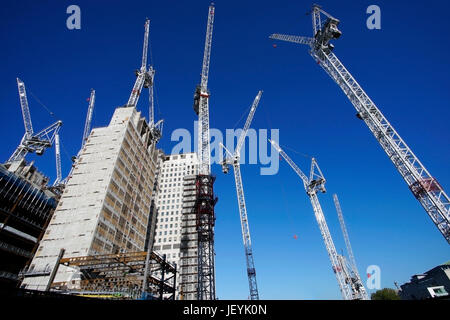 Plusieurs grues travaillant sur vaste chantier, ciel bleu clair à l'arrière-plan Banque D'Images