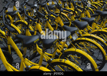 Des vélos à Public rues de Shenzhen, Guangdong, en république populaire de Chine ; vélo Ofo opérateur - vélos jaunes Banque D'Images