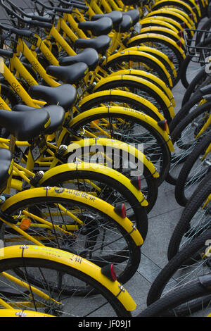 Des vélos à Public rues de Shenzhen, Guangdong, en république populaire de Chine ; vélo Ofo opérateur - vélos jaunes Banque D'Images