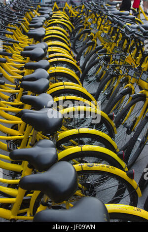 Des vélos à Public rues de Shenzhen, Guangdong, en république populaire de Chine ; vélo Ofo opérateur - vélos jaunes Banque D'Images