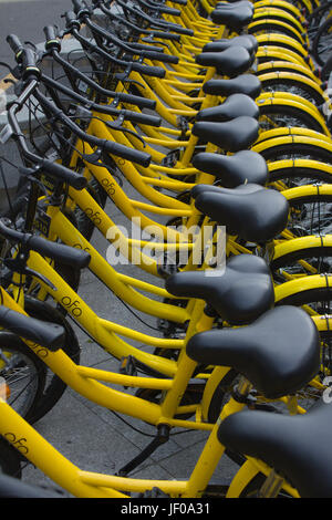 Des vélos à Public rues de Shenzhen, Guangdong, en république populaire de Chine ; vélo Ofo opérateur - vélos jaunes Banque D'Images