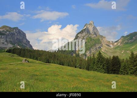 Montagne de la gamme de l'Alpstein en été Banque D'Images