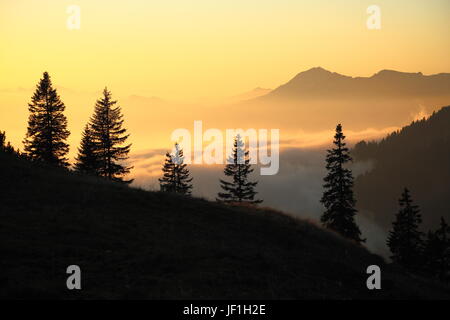 Lumière du soir à la montagne Banque D'Images