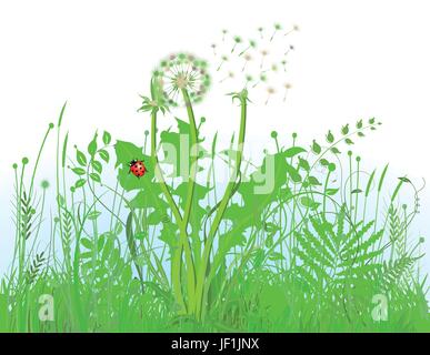 Jardin, feuilles, vert, Bloom, s'épanouir, de s'épanouir, en plein essor, champ, fleur, Illustration de Vecteur