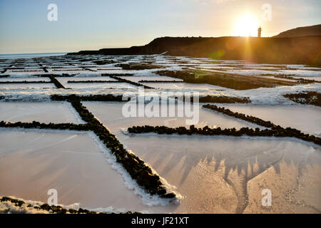 Dans le sel Canry islands Banque D'Images