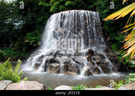 La Cascade dans Iveagh Gardens, un parc public donné à la nation par Lord Iveagh à Dublin, Irlande Banque D'Images