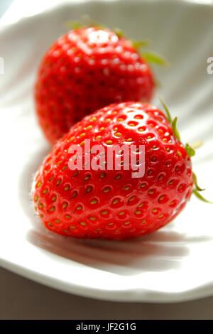 Deux fraises juteuses anglais fraîchement cueillies Banque D'Images