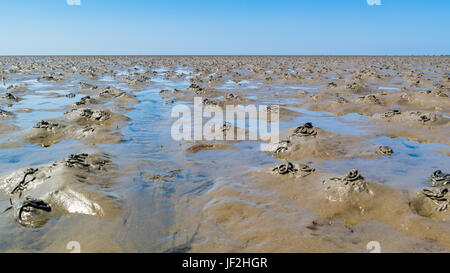 Motif de vase avec des moulages réalisés par des lugworms à marée basse sur la mer de Wadden, Pays-Bas Banque D'Images