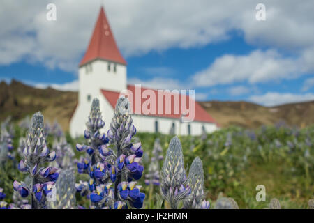 L'église et de fleurs Banque D'Images