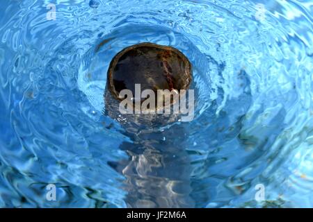 Vidange de l'eau dans la piscine Banque D'Images